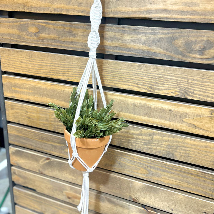 Macrame plant hanger with a potted plant against a wooden background