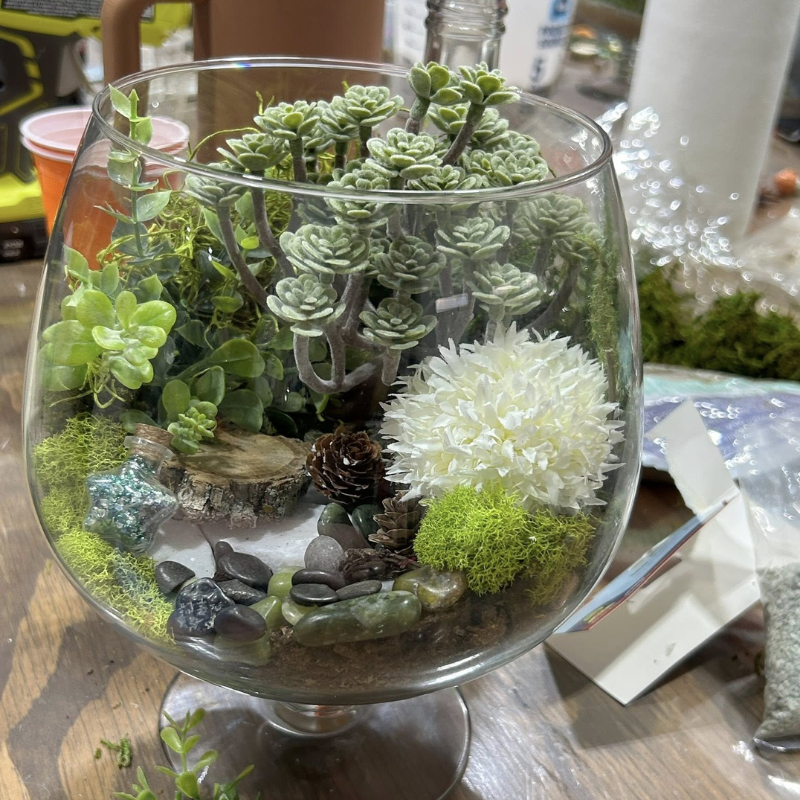 Pixies And Paints - Ages 12+ 6/12