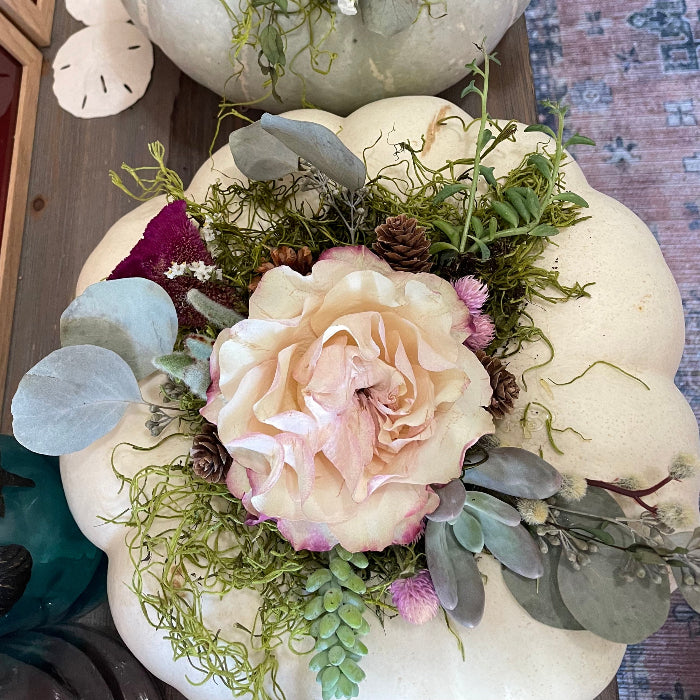 Succulent Pumpkins