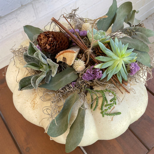 Succulent Pumpkins